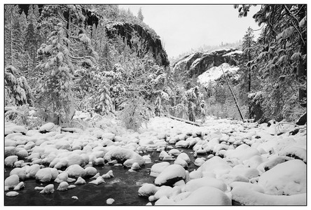 Down the Canyon-02182026.jpg