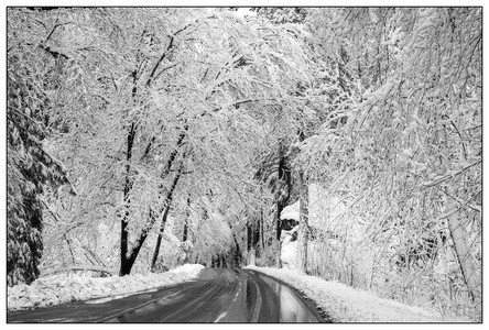 Into the White-02182026.jpg