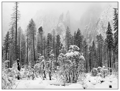 Layers to the Cathedral-02182026.jpg