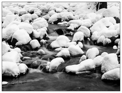 Marshmellows of the Merced-02182026.jpg