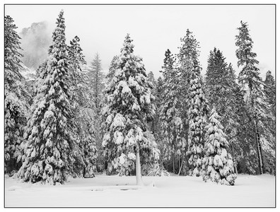 Winter in the Valley-02182026.jpg