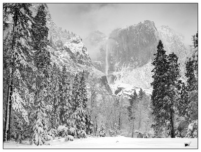 B&W Landscapes