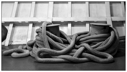 Rope-02152026.jpg