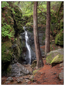 Cascade Falls-11162025.jpg