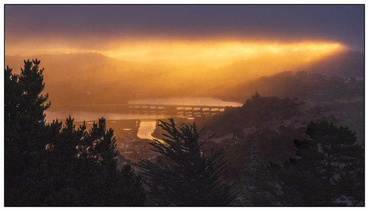 Mill Valley - Sunrise through fog-07202026.jpg