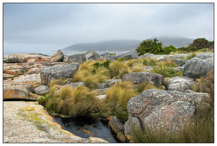 Tasmania - Grasses and Sea-10312009.jpg