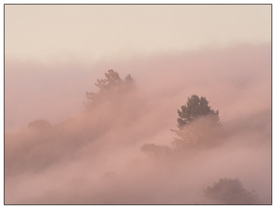 TennesseeValleyFog-04162024.jpg