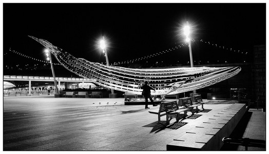 Ishmael Marching-01222026.jpg