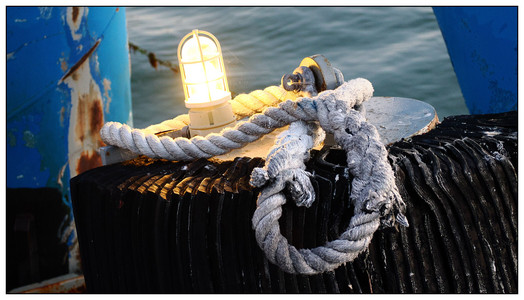 Light 'n Rope-02042026.jpg