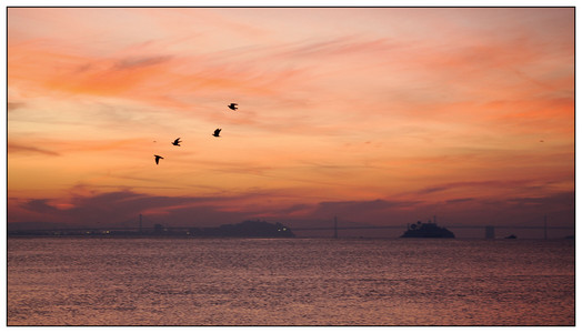 The Rock-01272026.jpg