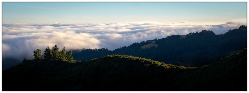 More Fog-07202025.jpg